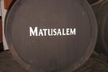 971 jerez bodega gonzalez-byass